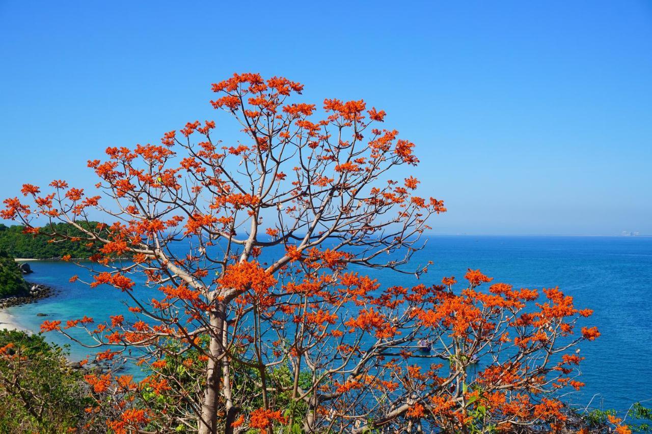 Cham Island Homestay Lau Thu Tân Hiệ المظهر الخارجي الصورة